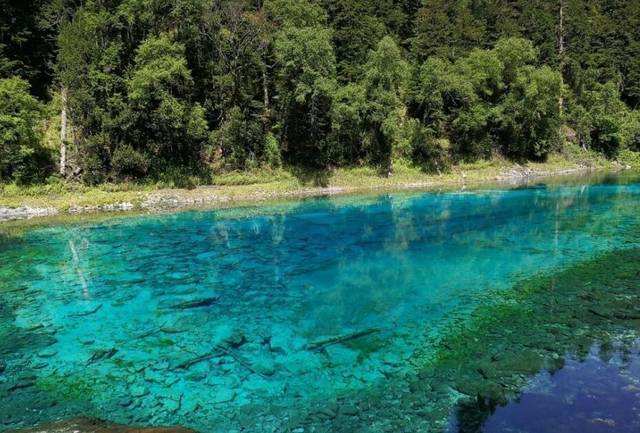 SER-20M型多(duō)普勒生(shēng)命探測雷達